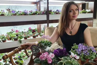 Фиалки детки, красота на подоконник: 35 грн. - Комнатные растения Харьков  на Olx