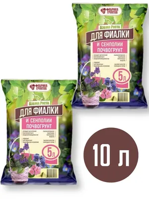Сенполия (Узамбарская фиалка) — Твой Сад — клуб садоводов