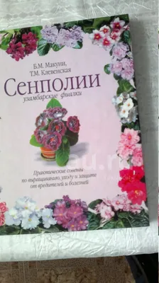 Секреты выращивания фиалок