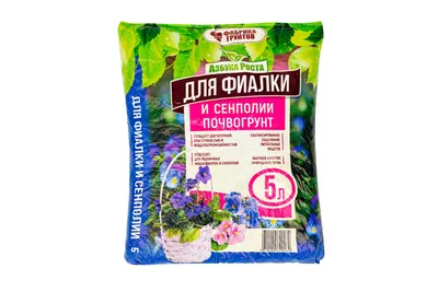 Цветы на подоконнике | Пикабу