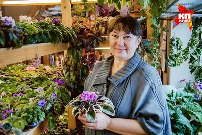 Растения в интерьере. Кусочек природы дома: советы профессионалов