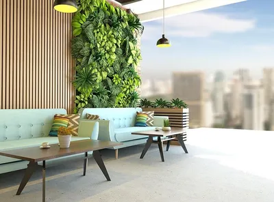 Фиалки в интерьере: куда поставить, чтобы было красиво? | MOSWEEKHOME-2023  Психология дизайна | Дзен