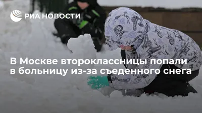 Фото снежных скульптур с живописными фонами
