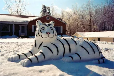 Свинские снеговики и другие симпатичные скульптуры из снега