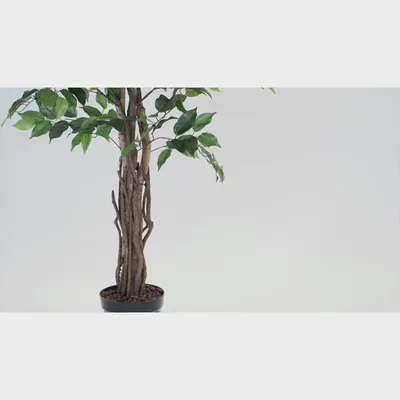 How to Shape An Artificial Ficus Tree - Artificial Eden® - YouTube