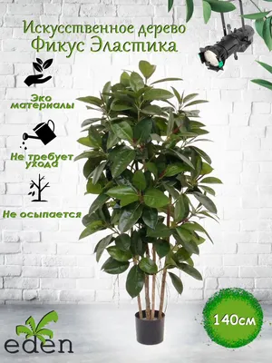 Eden Bloom Artifical Ficus Tree Reviews