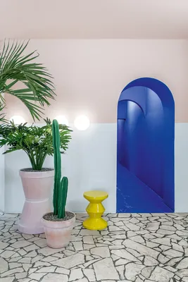 10 Best Air-Purifying Plants in Feng Shui - HubPages