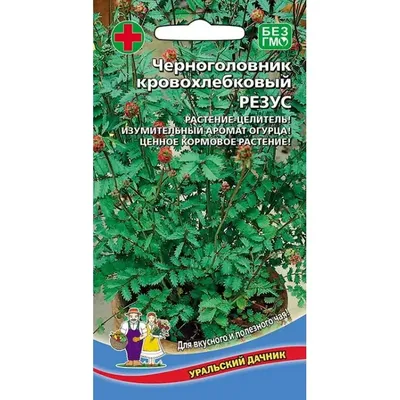 Горшок Николь 22 - купить инвентарь, все для рассады, агроволокно с  доставкой по Украине в магазине Добродар