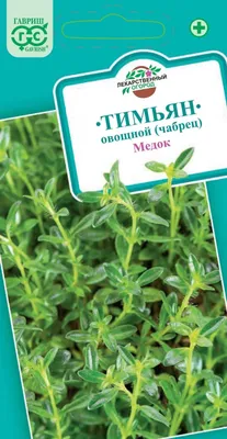 ▻ Стелющейся, ползучий вьюн для прибрежной зоны у пруда!