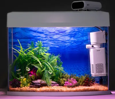 Как чистить фильтр в аквариуме — внутренний и внешний, и как часто?