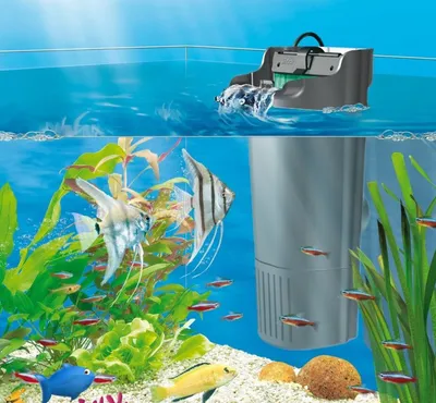 Внутренний фильтр для аквариума, какой лучше купить, отзывы, обзор?