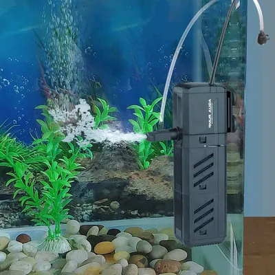 Нужен ли фильтр в аквариуме и можно ли обойтись без него?
