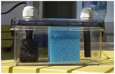 Самодельный внешний фильтр для нано аквариума : Наноаквариум