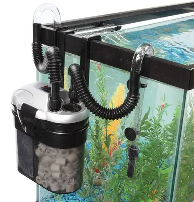 Как правильно подобрать мощность фильтра для аквариума | Аквариумные рыбки  | Дзен