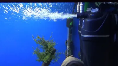 Почему не работает фильтр для воды в аквариуме? — Тижневик «ЕХО»