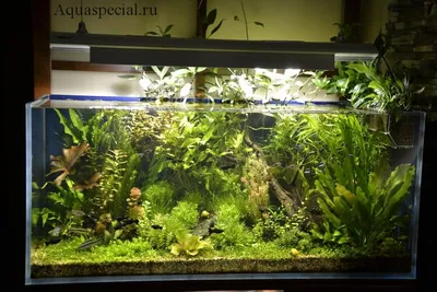 Внешний аквариумный фильтр своими руками | Пикабу