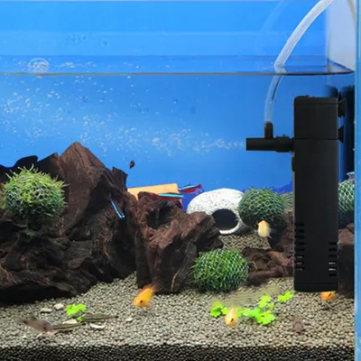 Фильтр для очистки воды в аквариуме купить недорого — выгодные цены,  бесплатная доставка, реальные отзывы с фото — Joom
