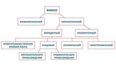 Обрезание — это больно? | Купрум | Дзен