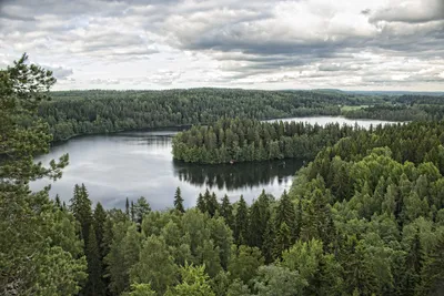 Озера Финляндии (70 фото) - 70 фото