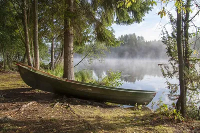 штилевое лето озера Финляндии Стоковое Фото - изображение насчитывающей  природа, берег: 21848028