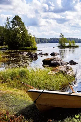 Картинка Финляндия Lake Kiantajärvi Природа Леса Небо 3072x1669