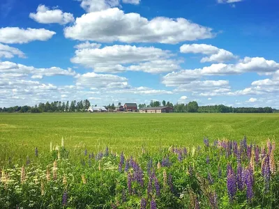 Отдых в Финляндии летом: погода, цены, что посмотреть - 2023