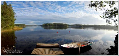 Зимняя Финляндия: удивительные фото природы в ее первозданном виде -  Tochka.net