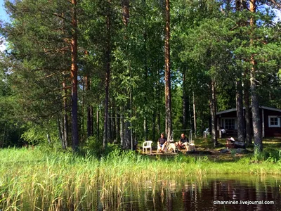 8 вариантов отдых в Финляндии — зимой, летом, осенью, весной