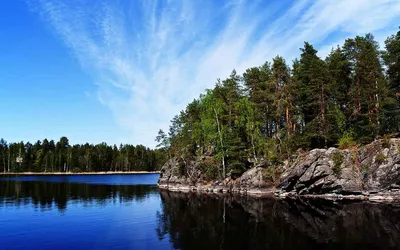 Национальный Парк Реповеси Кувола Финляндия — стоковые фотографии и другие  картинки Озеро - Озеро, Финляндия, Лето - iStock