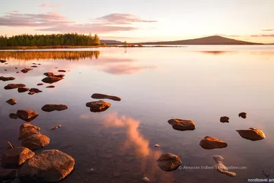 Обои для рабочего стола Финляндия Kuusamo тумане Природа лес Пейзаж |  Пейзажи, Туман, Лес