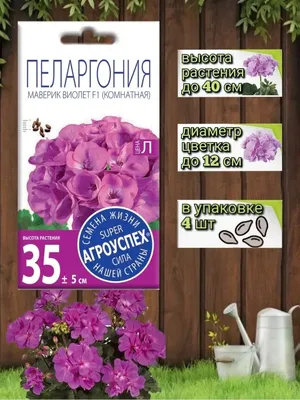 Герань зональная микс - цена, купить комнатные растения с доставкой в  Москве - магазин ПРОСТОЦВЕТЫ