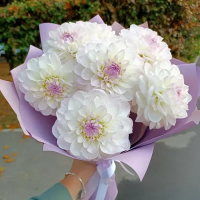 29 бело-фиолетовых георгин в букете за 12 090 руб. | Бесплатная доставка  цветов по Москве