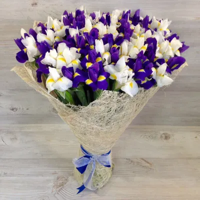 101 бело-фиолетовый ирис в букете за 19 490 руб. | Бесплатная доставка  цветов по Москве