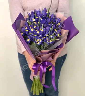 31 фиолетовый ирис в упаковке