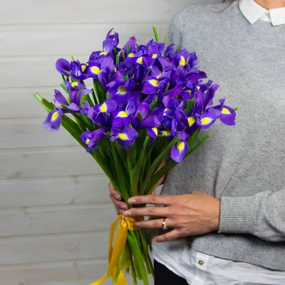 Ирис \"Фиолетовый\" заказать с доставкой в Новороссийске в интернет магазине  цветов Роз Новоросс