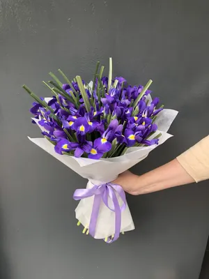 Букет из 35 фиолетовых ирисов в упаковке купить в Твери по цене 3450 рублей  | Камелия