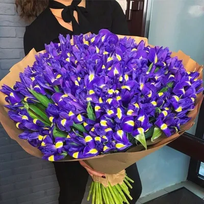 Фиолетовый ирис из стекла в вазе,1 цветок, средний размер - Imperialglass