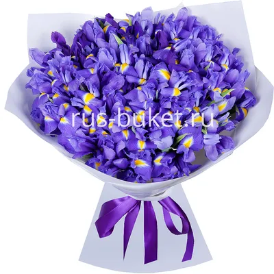 Ирисы фиолетовые с хризантемой кустовой купить в Москве по цене 6999₽ |  Арт. 105-080