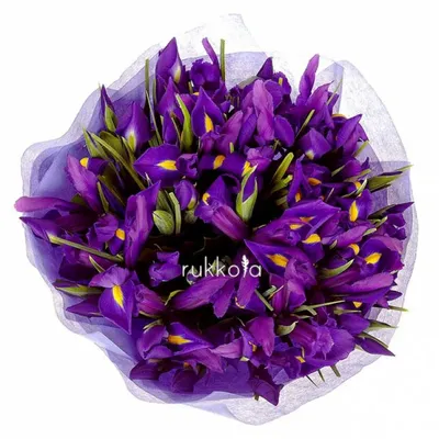 Купить картину Фиолетовые ирисы в Москве от художника Торик Дилара