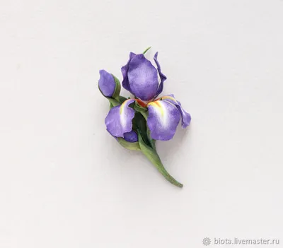 Фиолетовые Цветы Ирис - Бесплатное изображение на Pixabay | Фиолетовые  цветы, Цветы, Ирисы