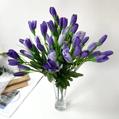 Крокус томазини Барс Парпл (Crocus tommasinianus Barr's Purple) - Луковицы  крокусов - купить недорого Крокусы в Москве в интернет-магазине Сад вашей  мечты