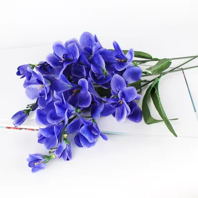 Скачать обои цветы, снег, фиолетовые, крокусы, flowers разрешение 4500x3000  #134439