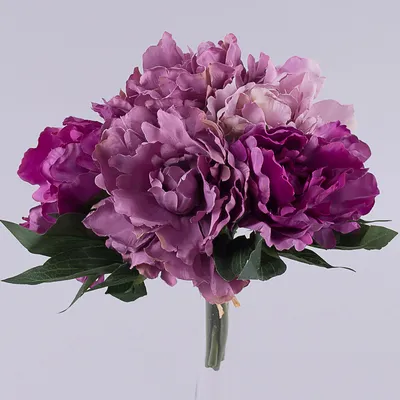 Фиолетовый микс из пионов и гортензий за 32 090 руб. | Бесплатная доставка  цветов по Москве
