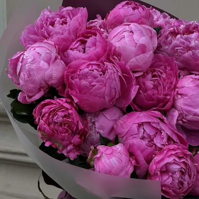 Пин от пользователя Rabia на доске Bouquets of love | Синие пионы,  Фиолетовые букеты, Розовые пионы