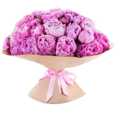 Фиолетовые пионы | Бесплатная доставка букетов цветов по Москве