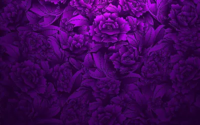 Фиолетовые пионы (55 фото)
