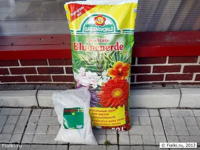 Пошаговые инструкции по посадке фиалок | Ферма.expert 🌿 | Дзен