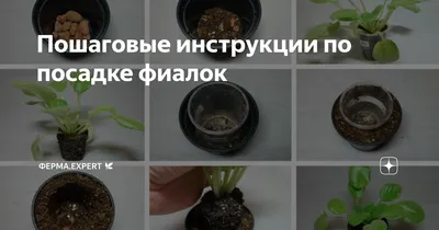 САЖАЕМ КЛУБНИ ГЛОКСИНИЙ, НА ФИТИЛЬНЫЙ ПОЛИВ - YouTube