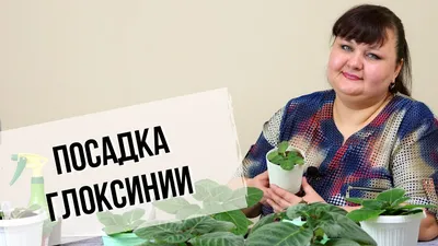 Фиалки на фитиле - нюансы методики, плюсы и минусы использования фитильного  полива для растений
