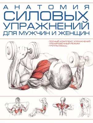 Упражнения с фитнес-резинкой — тренировка на все группы мышц в картинках |  Фитсевен | Дзен
